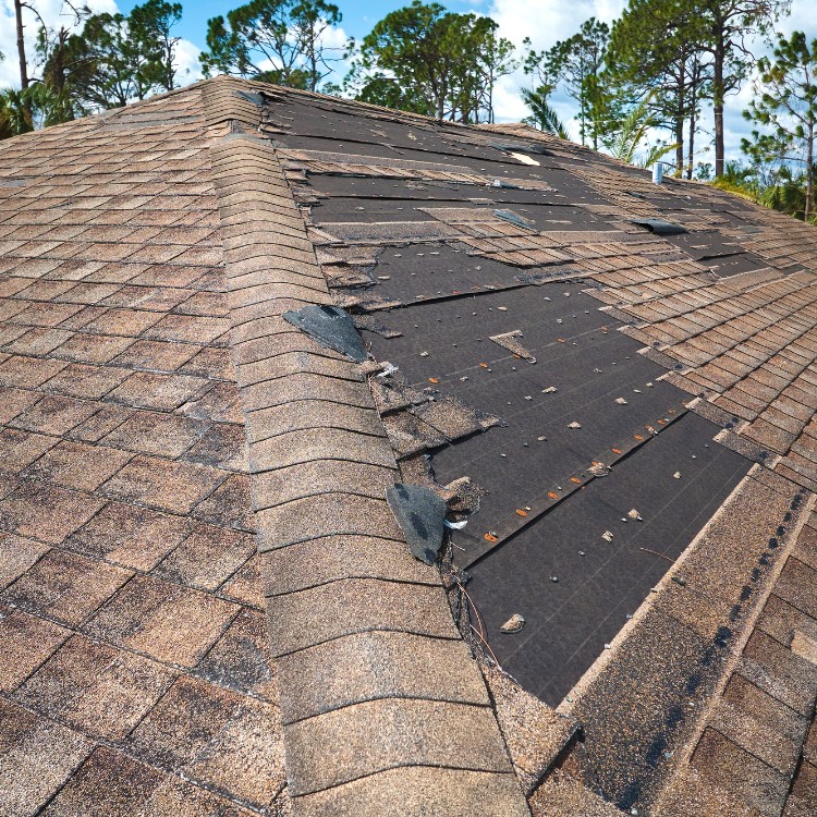 Roofing services in North Eastern Ohio Roofing services in North Eastern Ohio
